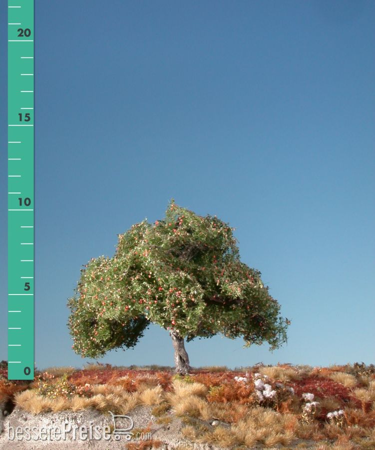 Silhouette 226-03