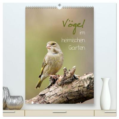 Vögel im heimischen Garten (hochwertiger Premium Wandkalender 2026 DIN A2 hoch), Kunstdruck in Hochglanz
