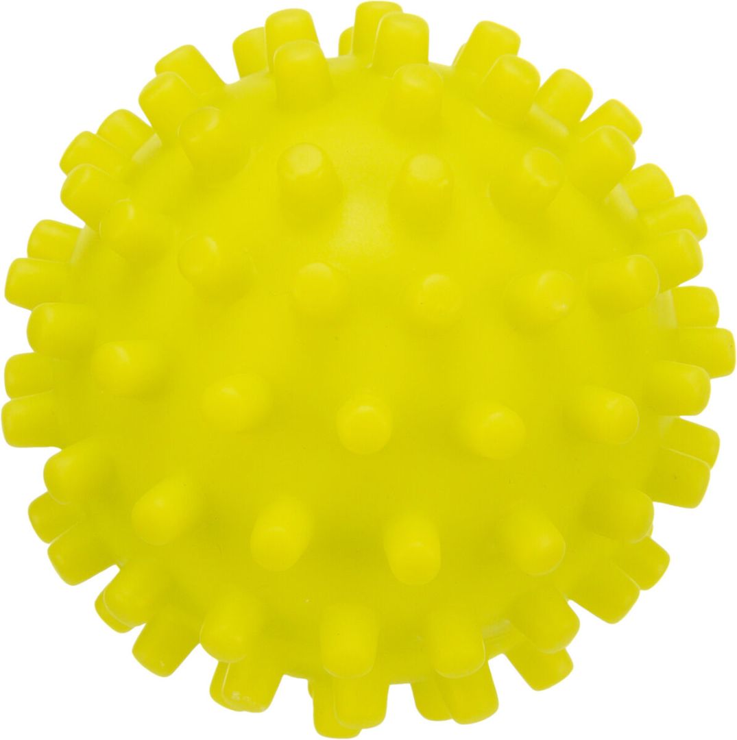 TRIXIE Igelball für Hunde, lime