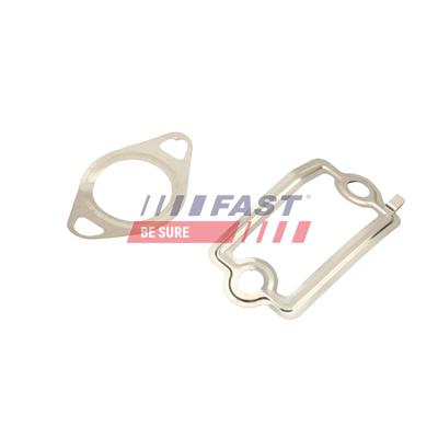 FAST Dichtungssatz, AGR-System FT49925 für Fiat