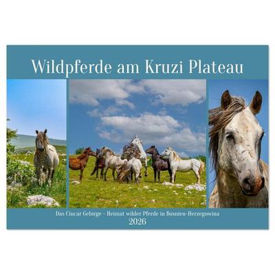 Wildpferde am Kruzi Plateau (Tischkalender 2026 DIN A5 quer), CALVENDO Monatskalender