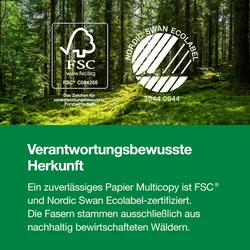 INAPA MULTICOPY THE RELIABLE PAPER Kopierpapier 157900 A4 80g 500Bl.