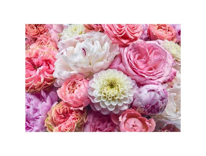 Komar Fototapete, Mehrfarbig, Floral, 368x254 cm, Fsc, Tapeten & Wandverkleidungen, Fototapeten