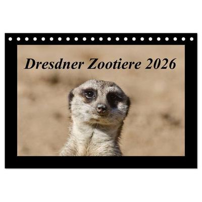Dresdner Zootiere 2026 (Tischkalender 2026 DIN A5 quer), CALVENDO Monatskalender