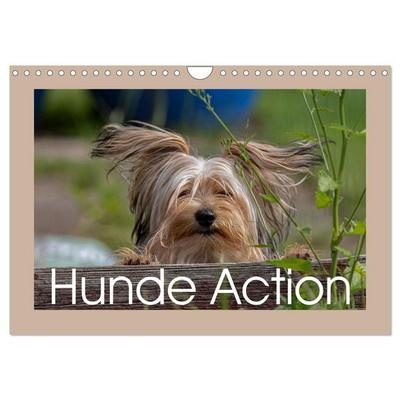 Hunde Action (Wandkalender 2026 DIN A4 quer), CALVENDO Monatskalender
