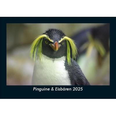 Pinguine & Eisbären 2025 Fotokalender DIN A5
