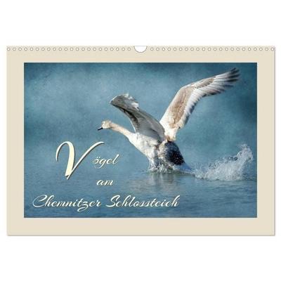 Vögel am Chemnitzer Schlossteich (Wandkalender 2026 DIN A3 quer), CALVENDO Monatskalender