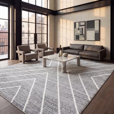 SAFAVIEH Adirondack Arife Vintage Oriental Rug