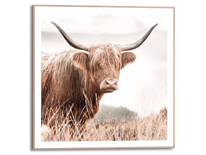 REINDERS Gerahmtes Bild, Highlander, Wohnzimmer, Bilder, Wanddeko, Room Decor, MDF, Braun, 50 x 50