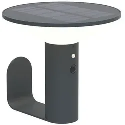 Diebold, Gartenbeleuchtung, Solar-Wandleuchte mit PIR,Gun Grey (220 lm, IP44)