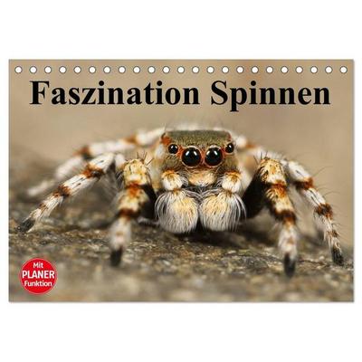Faszination Spinnen (Tischkalender 2027 DIN A5 quer), CALVENDO Monatskalender