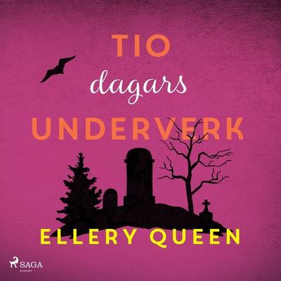 Tio dagars underverk - Ellery Queen, Audio, 9788728566114