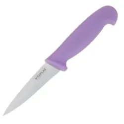 Hygiplas Gemüsemesser 9cm lila