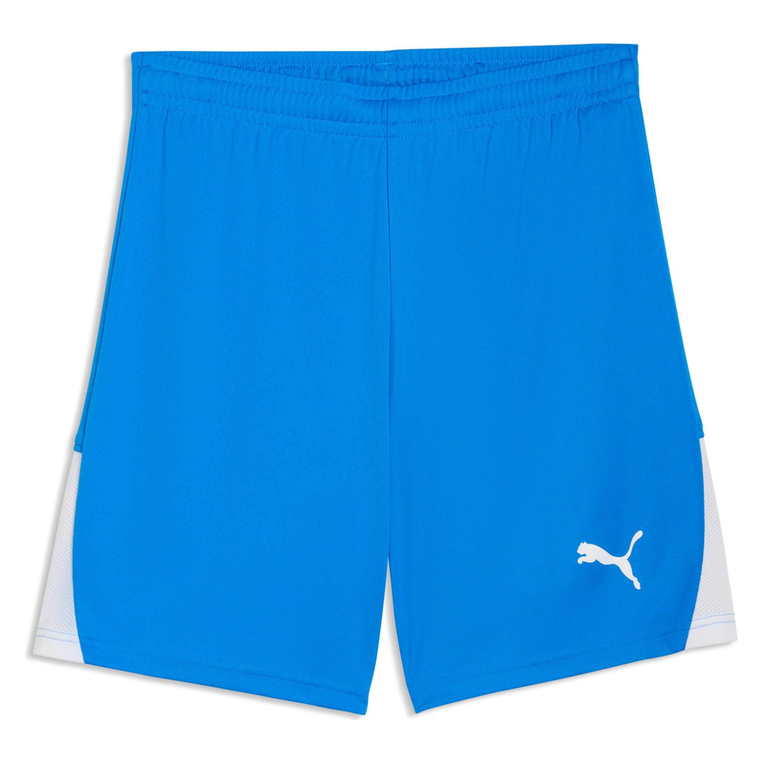 Puma teamLIGA26 Shorts (XXL) (706554)