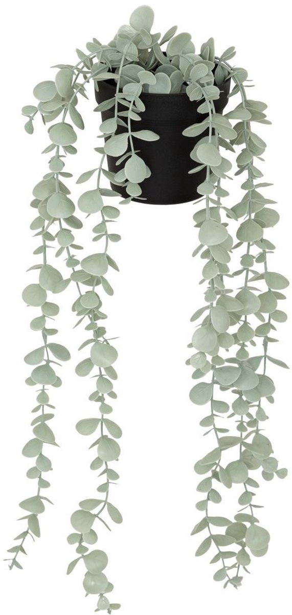 Atmosphera Merly Kunstmatige Eucalyptus
