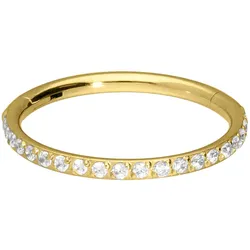 Titan Segmentring Clicker EINGEFASSTE KRISTALLE