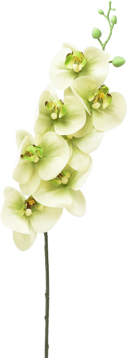 Flor und Decor Kunst Orchidee Geelgroene Phalaenopsis L83cm