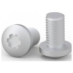 nVent HOFFMAN CNS616 (VE250) CNS616 (VE250) Schrauben 250 St. Piece