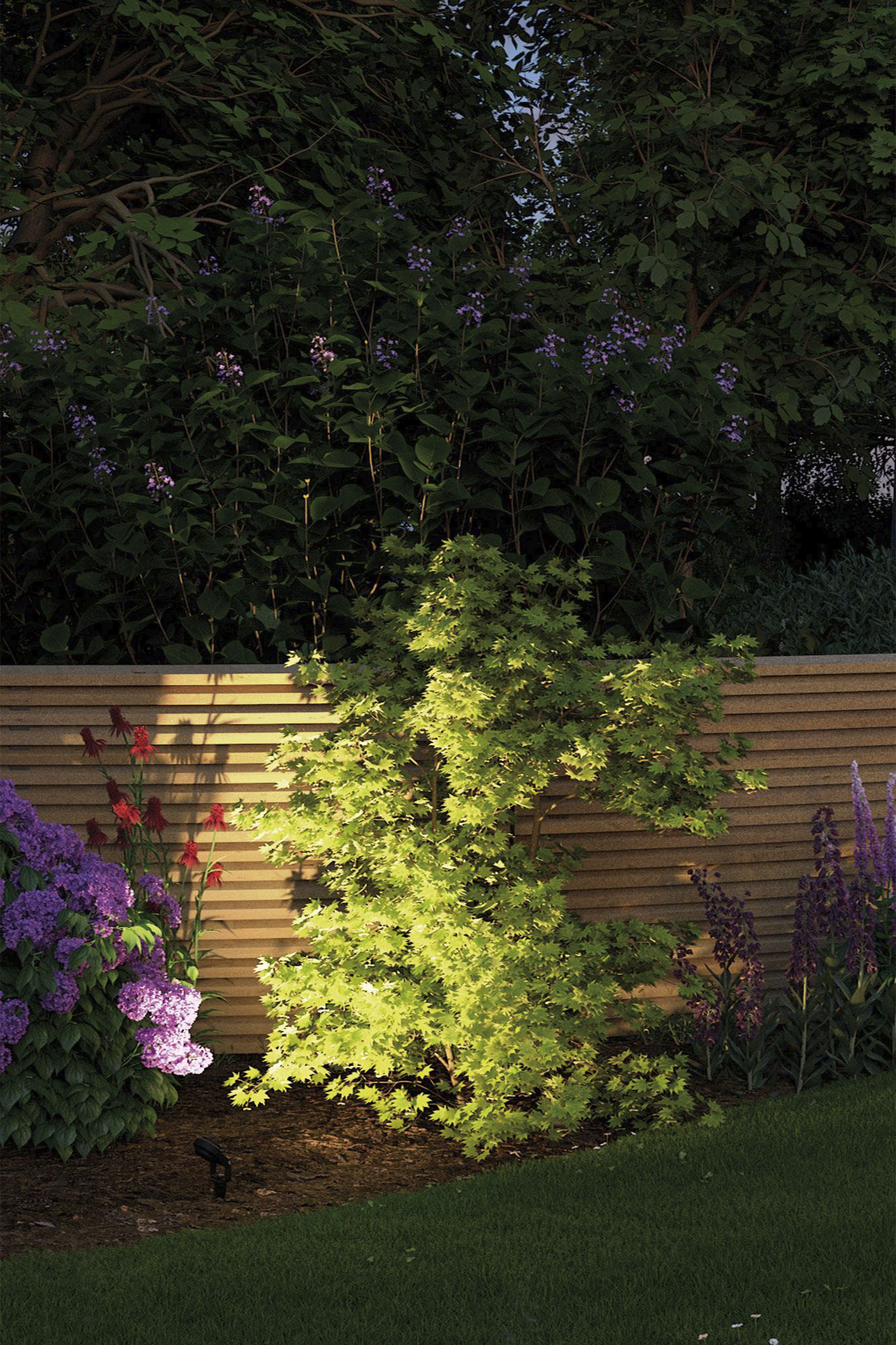 LED Gartenstrahler PAULMANN "Plug & Shine", grau (anthrazit), H:29cm Ø:5cm, Leuchten, LED Gartenstrahler, LED-Modul, IP67, 3000K