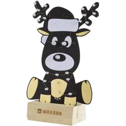 Whadda Rudolf XL Löt- & Programmierkit (Diverse), Elektronikmodul