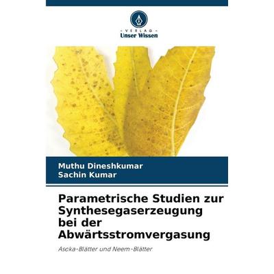 Parametrische Studien zur Synthesegaserzeugung bei der Abwärtsstromvergasung, Taschenbuch von Muthu Dineshkumar,Sachin Kumar, Verlag Unser Wissen,