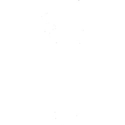 Dornbracht Bidetbrause 90121110700-00 chrom