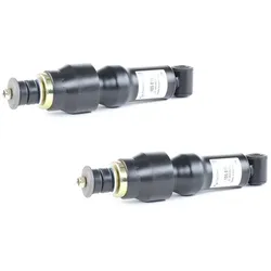 Set 2 Stoßdämpfer Sachs Vorne