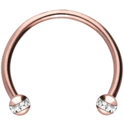 Chirurgenstahl Hufeisenring EPOXY-RING-KUGELN