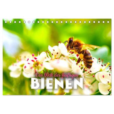 Die Welt der fleißigen Bienen (Tischkalender 2027 DIN A5 quer), CALVENDO Monatskalender