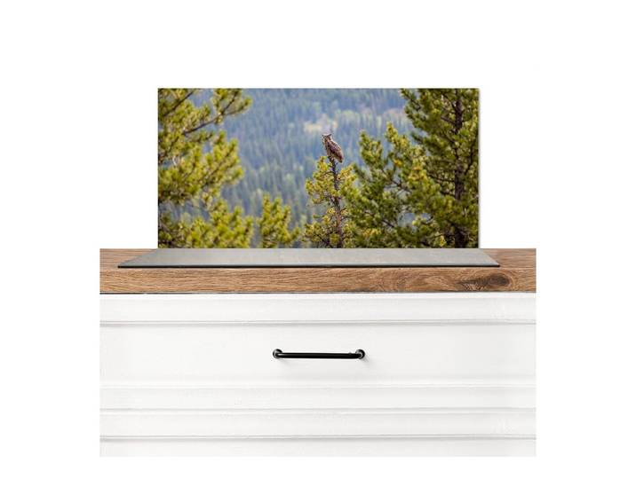 KitchenYeah Küchenrückwand Eule - Uhu - Bäume - Natur, (1-tlg), Küchenrückwand, Spritzschutz, Kitchen, 100x50 cm