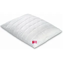 Hefel, Kopfkissen, Wellness Zirbe (90 x 70 cm)