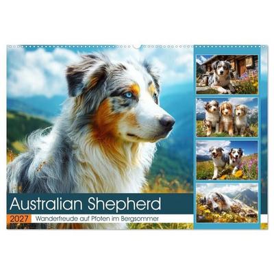 Australian Shepherd. Wanderfreude auf Pfoten im Bergsommer (Wandkalender 2027 DIN A2 quer), CALVENDO Monatskalender
