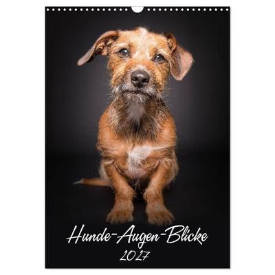 Hunde-Augen-Blicke (Wandkalender 2027 DIN A3 hoch), CALVENDO Monatskalender