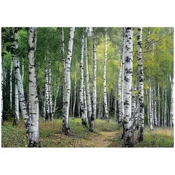 FOTOTAPETE 3D Effekt Wald Bäume Natur Tapete Wohnzimmer 250x175