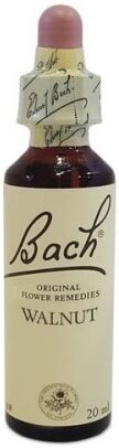 Natur Bach Center Ess Walnut 20 ml
