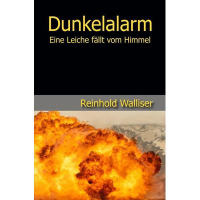 Dunkelalarm, Taschenbuch von Reinhold Walliser, Tolino media, 978-3-7546-0512-7