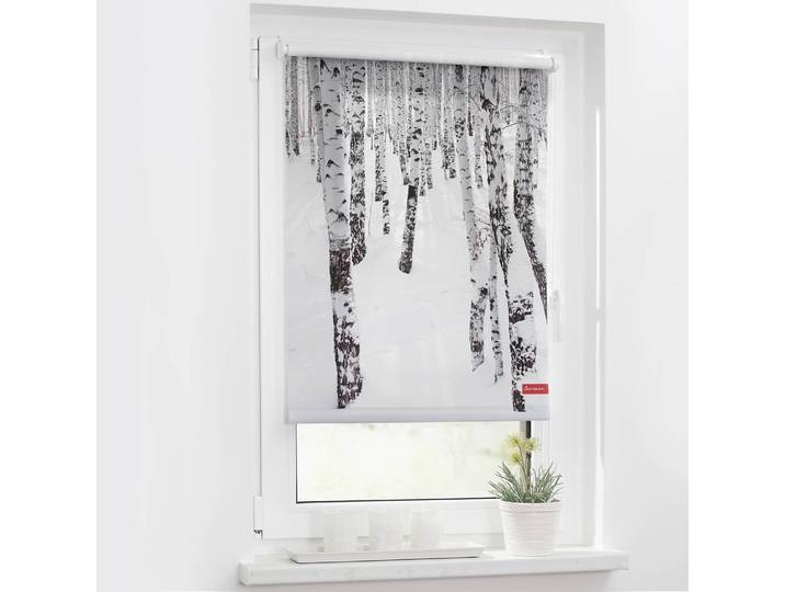 Klemmfix-Rollo Birkenwald 60 x 150cm Weiß