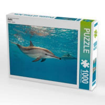 CALVENDO Puzzle Delfin | 1000 Teile Lege-Größe 64x48cm Foto-Puzzle für glückliche Stunden
