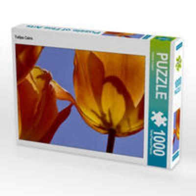CALVENDO Puzzle Tulipa Cairo | 1000 Teile Lege-Größe 64x48cm Foto-Puzzle für glückliche Stunden