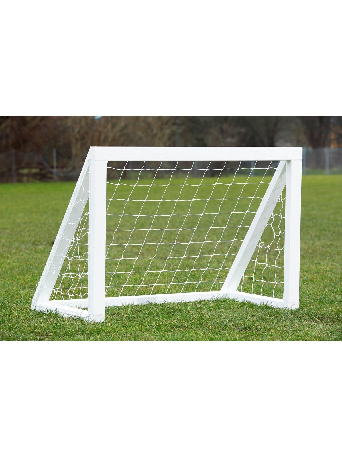Home Goal Pro Micro - White