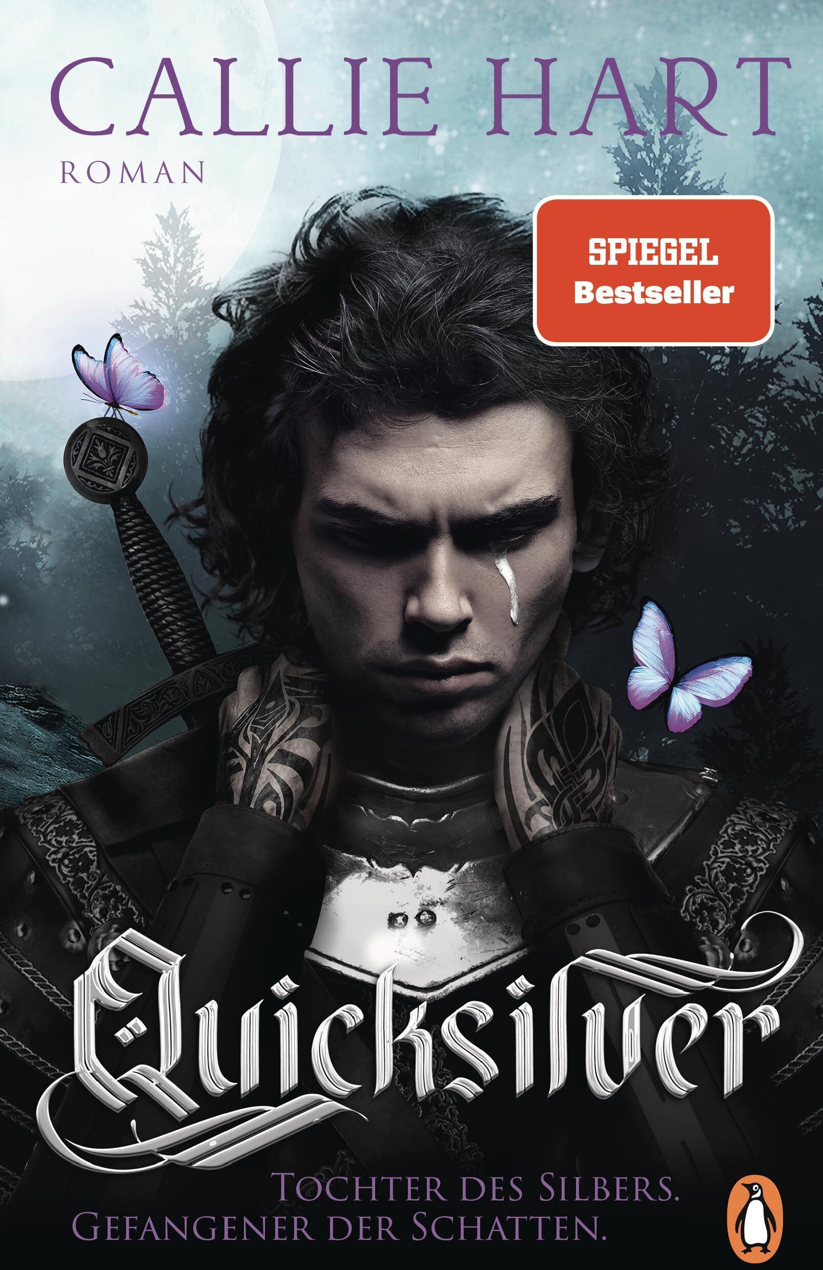 Callie Hart - Quicksilver - Tochter des Silbers. Gefangener der Schatten: Roman. Dark and spicy Enemies-to-Lovers Romantasy (Fae & Alchemy-Reihe, Band 1) - Preis vom 09.10.2026 07:28:09 h