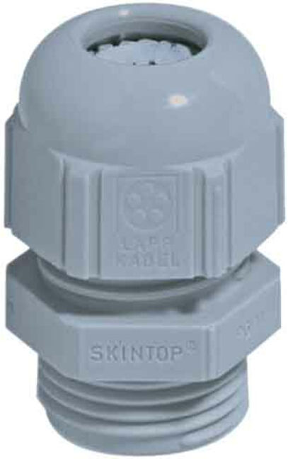 Lapp Accessoires presse-étoupe SKINTOP STR Pg21 R7001 SGY (53015150)