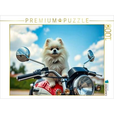 CALVENDO Puzzle Weißer Pomeranian | 1000 Teile Lege-Größe 64x48cm Foto-Puzzle für glückliche Stunden
