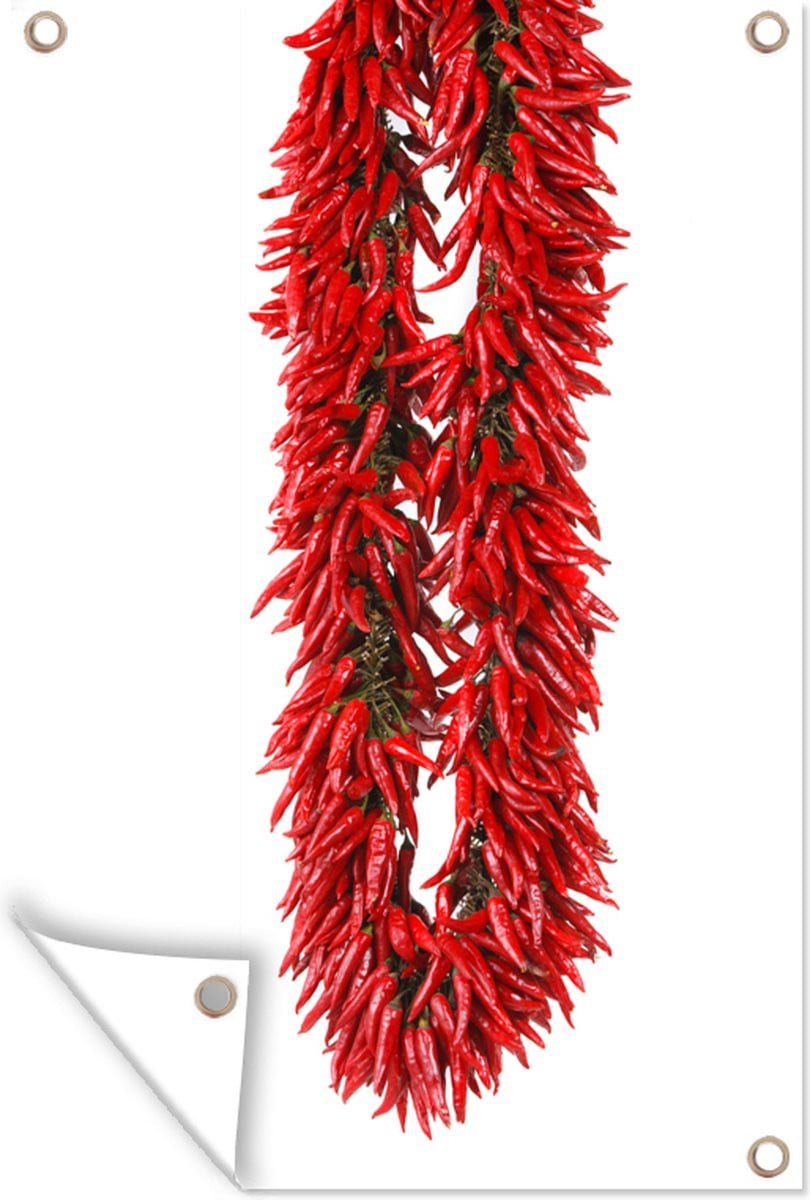 Tuinposter Cayennepepers Capsicum frutescens - Tuindecoratie voor buiten - Breedte: 60 cm, Hoogte: 90 cm