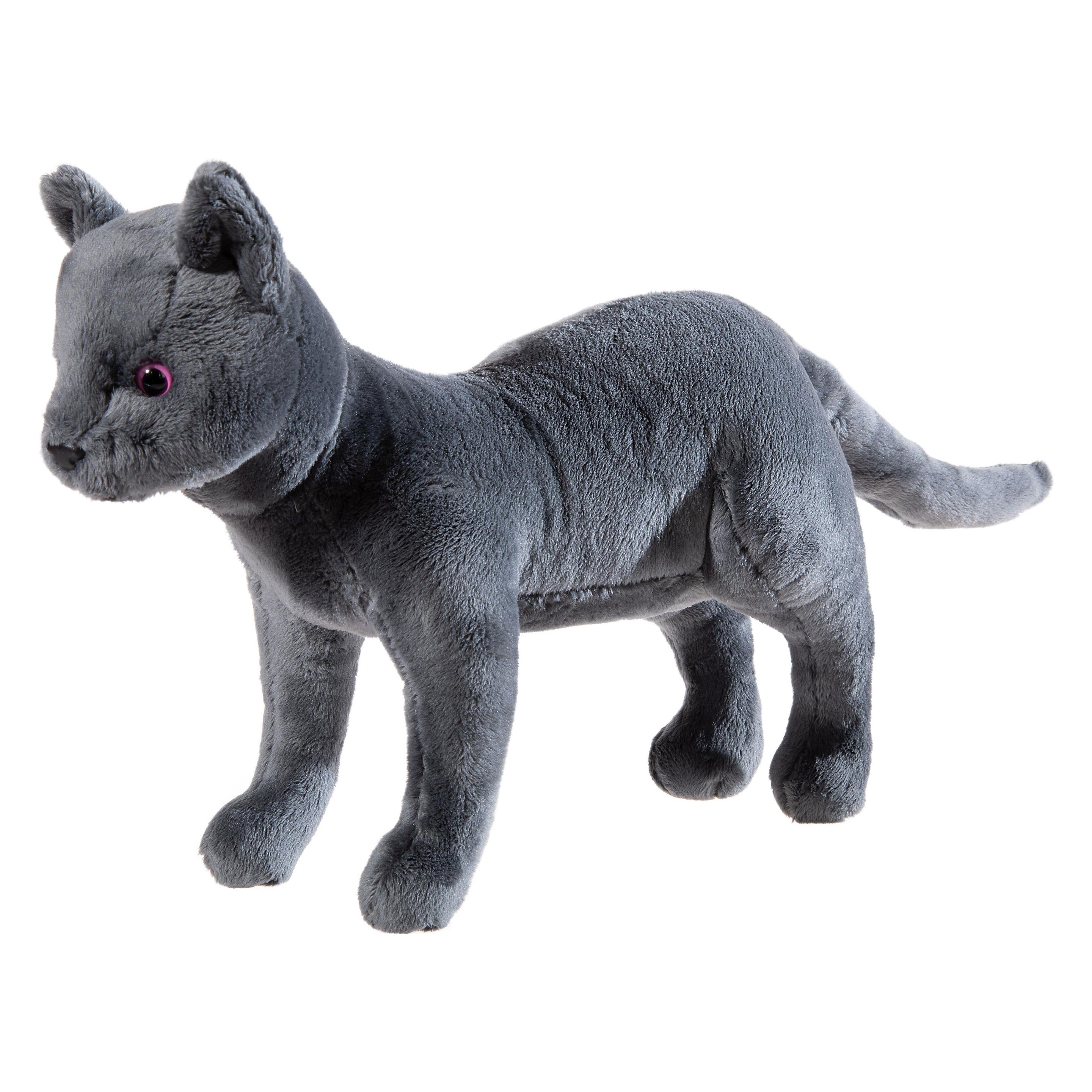 Heunec Die Schule der magischen Tiere - Kater Karajan (14 cm) (621169)