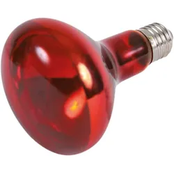 3x Trixie Infrarot Wärme-Spotlampe, Terrariumeinrichtung