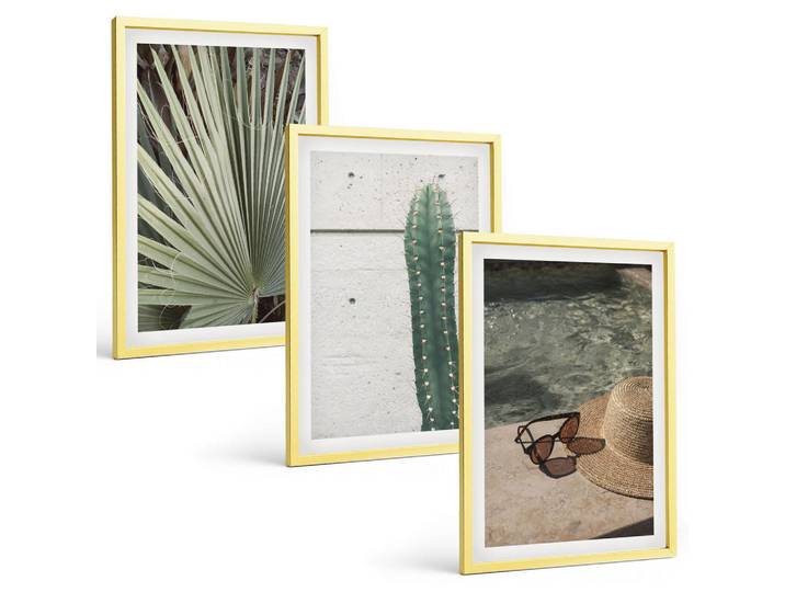 Tulup Bilder SET 3er Set - 40x60 cm Goldrahmen - Zubehör für tropische Pflanzen, Goldfarben, Kunststoff, Rechteckig, 40x60 cm, gerahmt, Bilder & Rahmen, Bilder