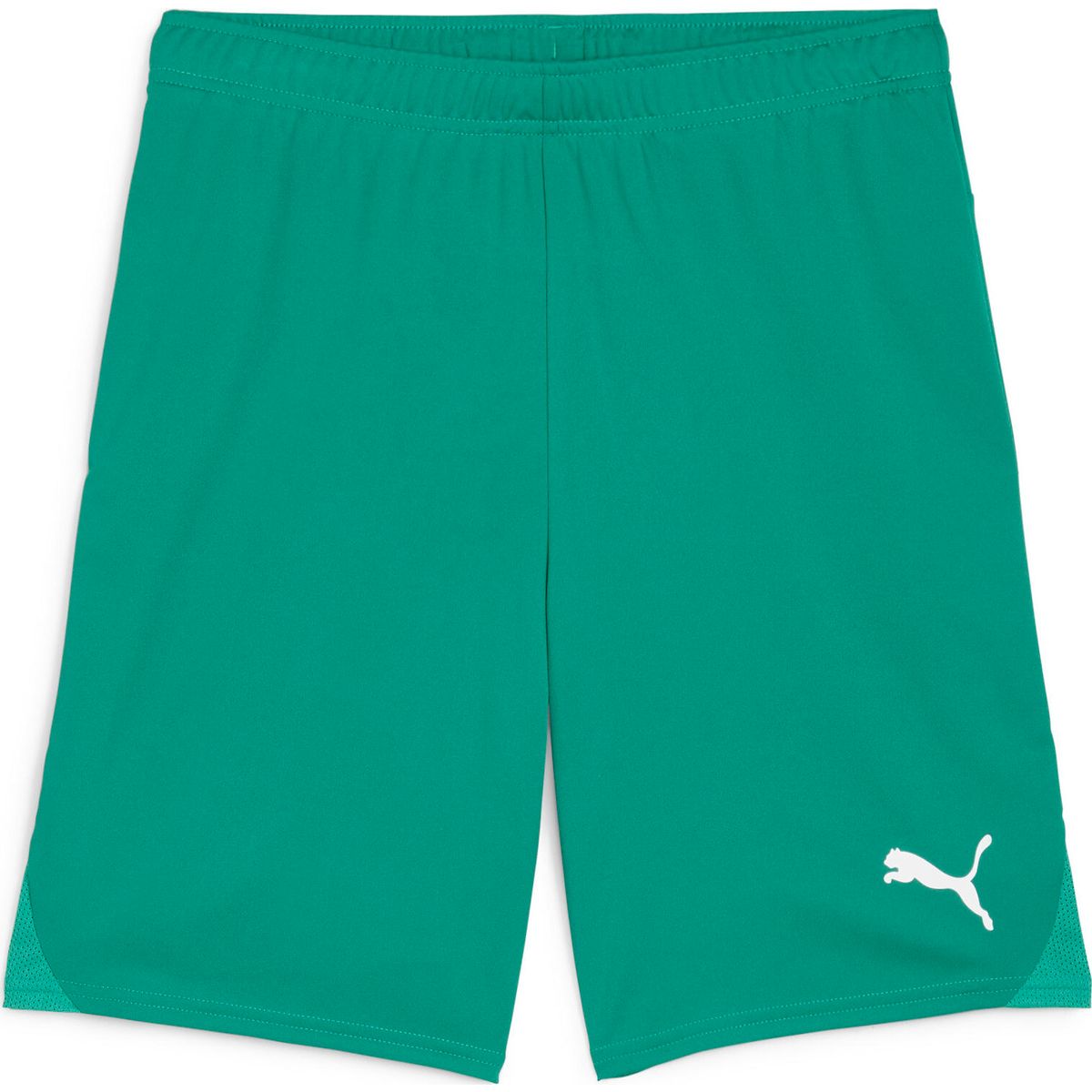 Puma Teamgoal Shorts sport green-puma white (05) S 705752-05-S