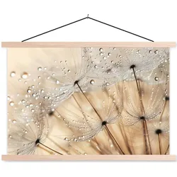 POSTER MIT MAGNETLEISTEN Löwenzahn - Abstrakt - Natur - Beige Wandbilder 60x40 cm