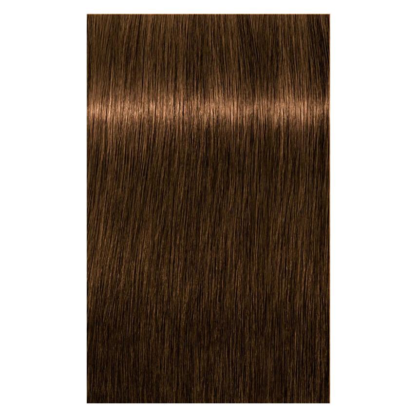 Schwarzkopf Professional Igora Royal Absolutes 60ml (6-50) (sia650)